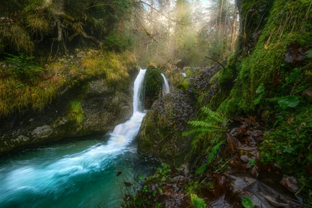 Mountain stream in the forest. Waterfall in the forest.の写真素材