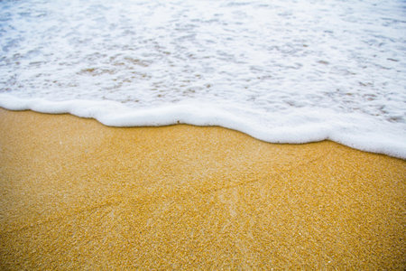 Soft wave of the sea on the sandy beach. Background with copy space.