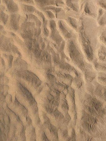 Texture of sand in the desert, close-up. Sand backgroundの写真素材
