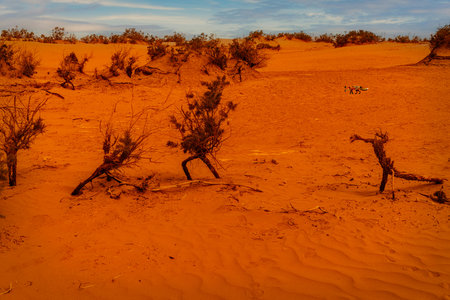 Sossusvlei, Namib Naukluft National Park, Namibiaの写真素材