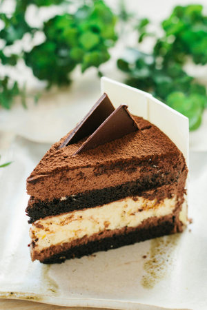 Tiramisu cake on white plate. Shallow dof.