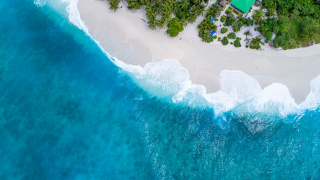 Aerial view of beautiful tropical beach with white sand, turquoise ocean water and coconut palm tree...