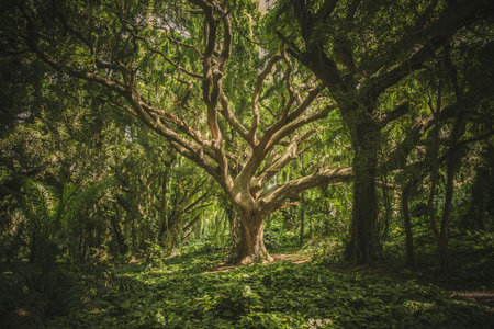 Old big tree in the forest. Filtered image processed vintage effect.