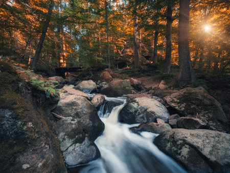 Long exposure of a river flowing through a forest at sunset in autumn