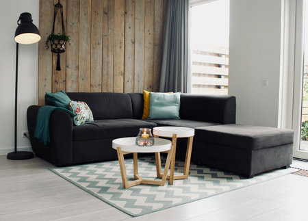 modern living room with sofa and coffee table in scandinavian style