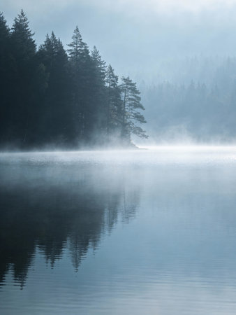 Foggy morning on a mountain lake in the Carpathians