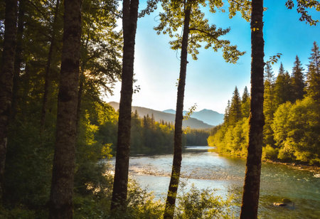Beautiful landscape with mountain river and forest in Altai, Russiaの写真素材