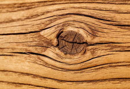 Wooden texture with natural patterns as background. Close-up.の写真素材