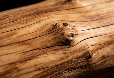 Close up of old wood texture. Abstract background and texture for design.の写真素材