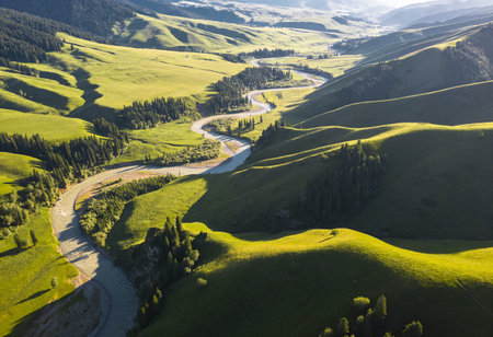 Aerial view of green grassland in Xinjiang, China.の写真素材