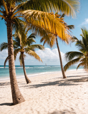 Coconut palm trees on the white sand of a tropical beachの写真素材