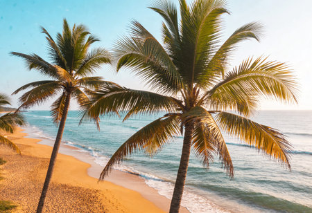 Coconut palm trees on the beach with sea and sky backgroundの写真素材