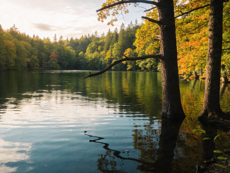 Autumn landscape with lake and trees in the forest. Beautiful nature background.の写真素材