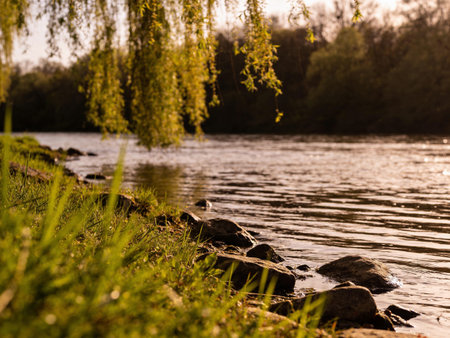 summer landscape with river and trees in the background - retro vintage effectの写真素材