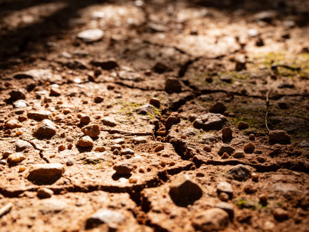 Dry soil with cracks on the ground. Conceptual image.