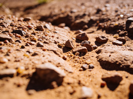 Closeup of stones on the ground. Shallow depth of field.