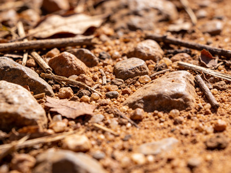 Close up of a rock in the ground, selective focus, shallow DOF