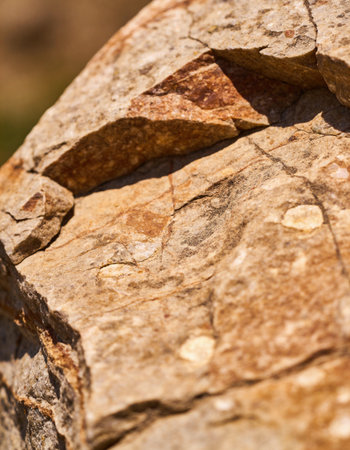 in south africa close up of the rock like abstract  texture background