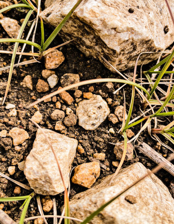 Small stones on the ground in the garden. Selective focus.