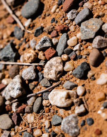 Close up of small stones on the ground. Selective focus.