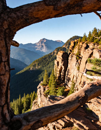 View from the window of the viewing platform on the Grand Teton National Park