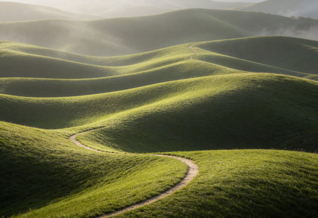 Beautiful green hills in the morning light. Beautiful natural landscape.の写真素材