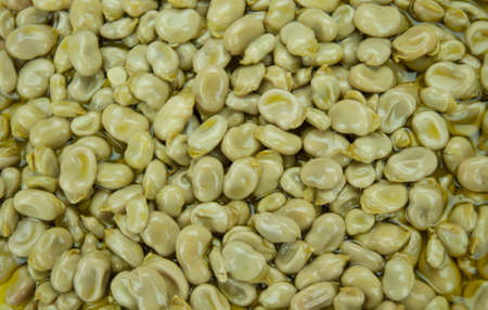 Beans in olive oilの写真素材