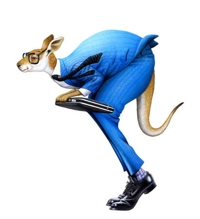 A kangaroo businessmanの写真素材