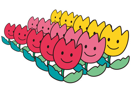 Colorful tulips blooming in the tulip field in springのイラスト素材