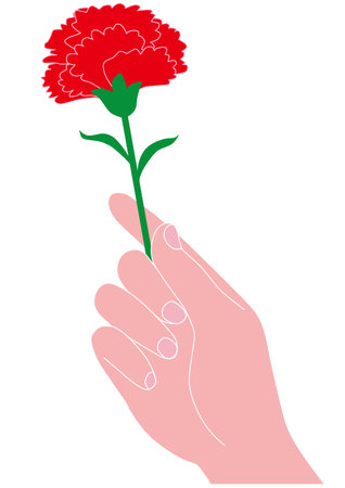 Hand holding a carnation for Mother's Day giftのイラスト素材