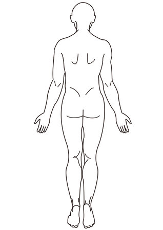 Line drawing of the whole human body seen from the backのイラスト素材