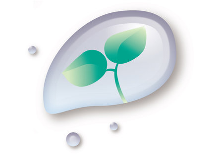 young leaves reflected in water dropletsのイラスト素材