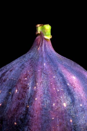 Detail of isolated fig on a black backgroundの写真素材
