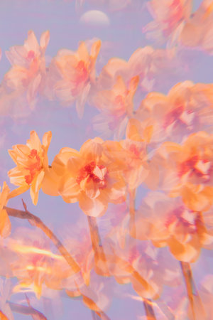 Flowers on a holographic background. The koleidoscope effect. Bouquet of daffodils.の写真素材