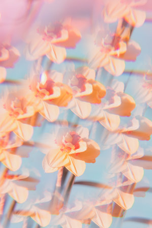 Flowers on a holographic background. The koleidoscope effect. Bouquet of daffodils.の写真素材