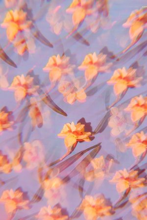 Flowers on a holographic background. The koleidoscope effect. soft focus.の写真素材