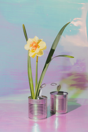 Flowers on a holographic background. soft focus.の写真素材