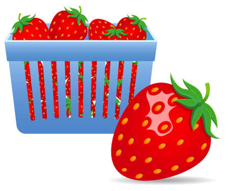 Strawberries in a Basketのイラスト素材