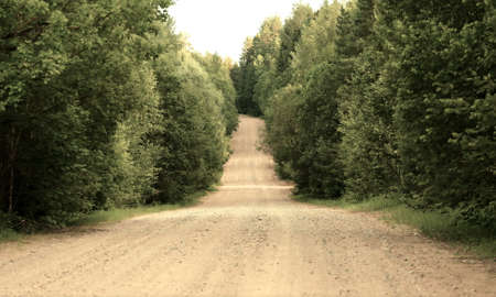 Country road in a wood の写真素材