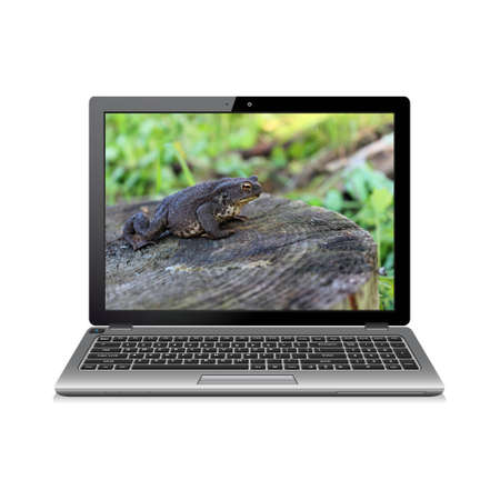 Modern laptop isolated on white with frog on screenの写真素材