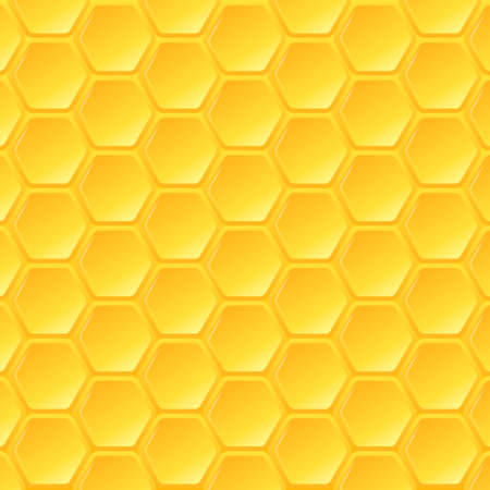 Honey beehiveのイラスト素材