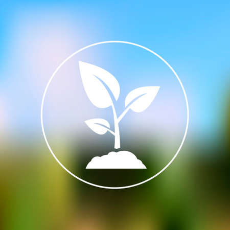 Sprout icon on blurred backgroundのイラスト素材