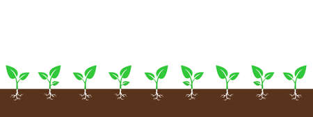 Vector background with growing sproutsのイラスト素材