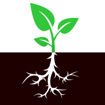 Sprout with root vector icon designのイラスト素材