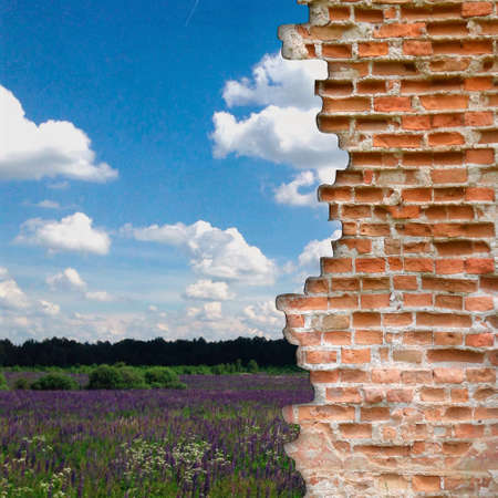 Old broken brick wall with beautiful landscape behindの写真素材