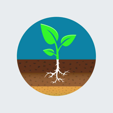 Growing sprout iconのイラスト素材