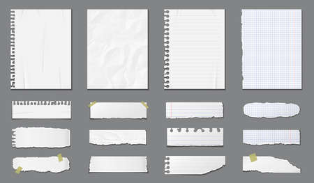 Set of different notebook pages and pieces of torn paper. Vector illustrationのイラスト素材