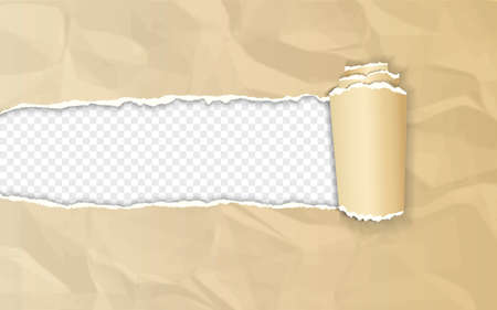Realistic brown crumpled paper with rolled edge on transparent backgroundのイラスト素材