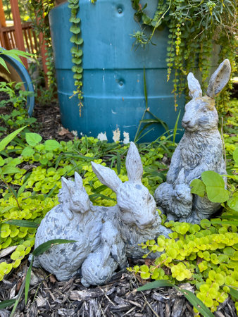 Weather worn bunny rabbit garden statues sitting in green creeping vines in a mulch bedの写真素材