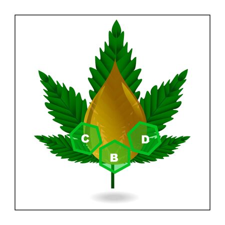 Cannabis oil or CBD oil concept vectorのイラスト素材
